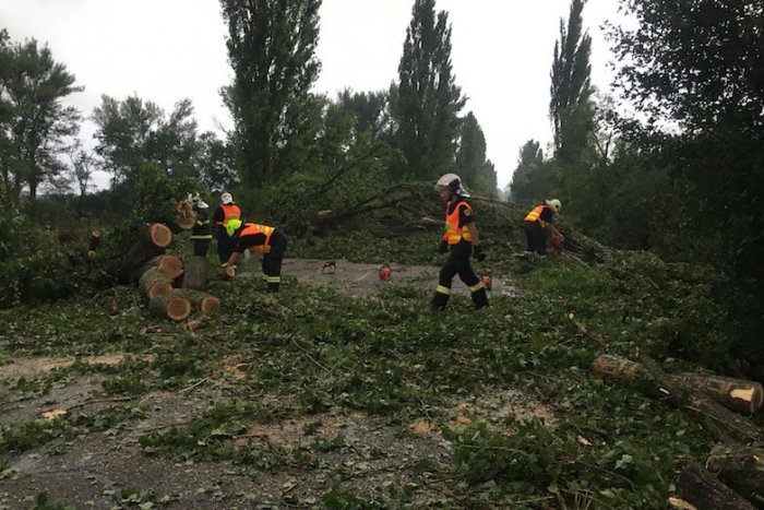 Ilustračný obrázok k článku Vyčíňanie búrok v Trenčianskom kraji: Popadali stromy, voda sa dostala do domov