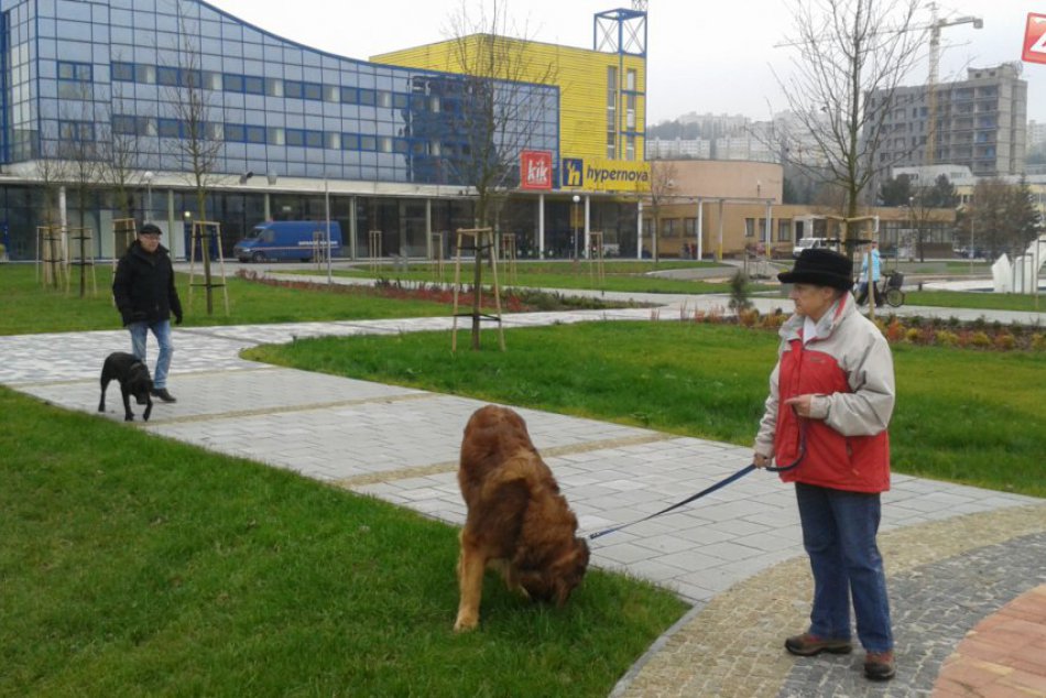 Ilustračný obrázok k článku Považská vyriešila sťažnosti na psov v centre po svojom: Čo vlastne zakázali? FOTO