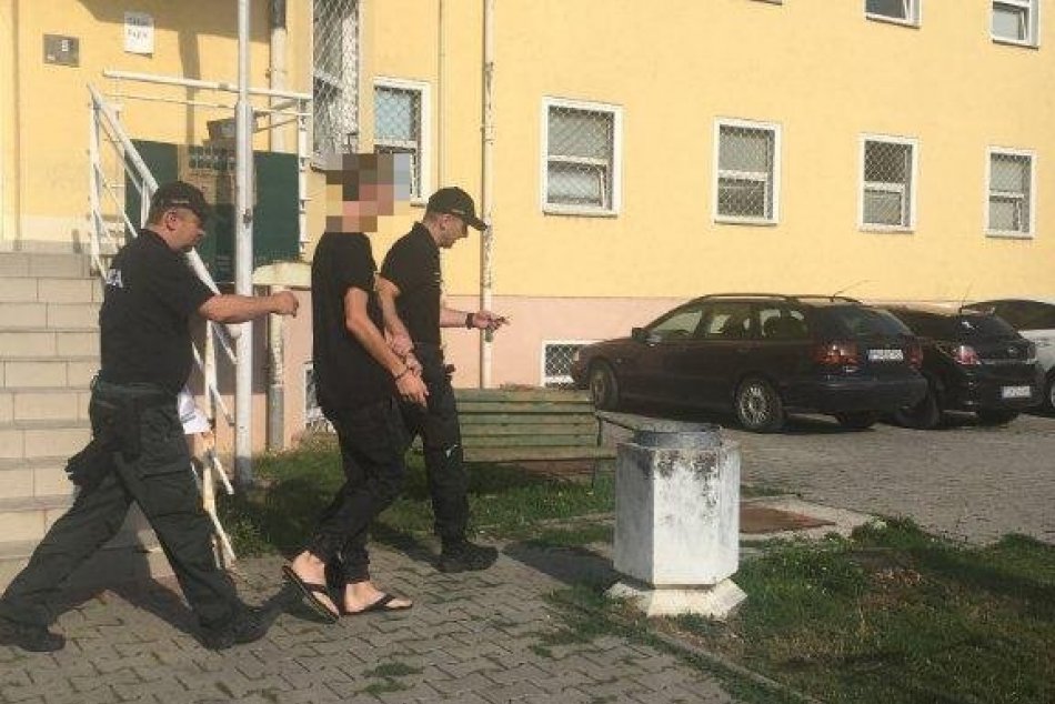 Ilustračný obrázok k článku Mastná pokuta od policajtov z Trenčína nezabrala: Moldavca Denisa (26) čaká súd, FOTO