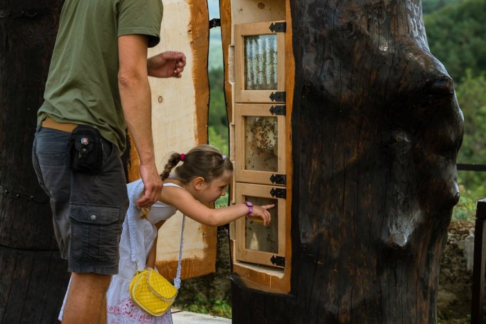 Ilustračný obrázok k článku Trenčiansky hrad má nových osadníkov: Obývajú ho 4 včelie rodiny, FOTO
