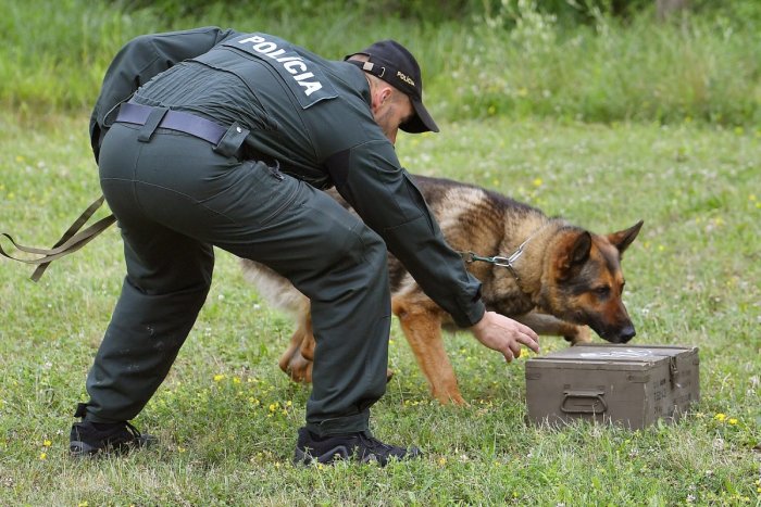 Ilustračný obrázok k článku Otravy psov na sídlisku Juh v Trenčíne? Polícia sa pustila do prípadu