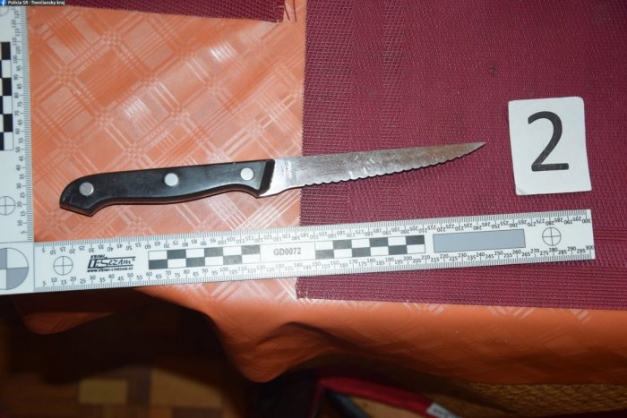 Ilustračný obrázok k článku Zásah kukláčov pri DRÁME v byte: Syn zadržiaval rodičov, policajta zranil nožom