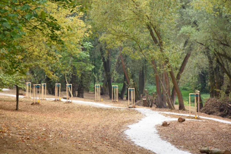 Ilustračný obrázok k článku Trenčiansky park zmenili na nepoznanie: Odpad nahradili stromy a kríky, FOTO