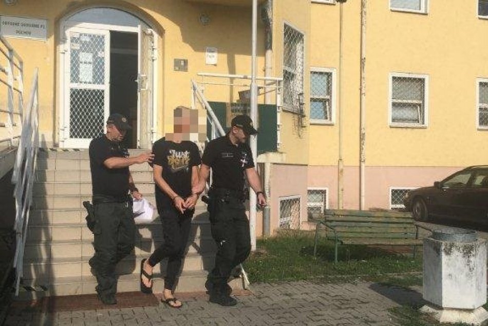 Moldavčana Denisa (26) chytili dvakrát pod parou na Považí: Teraz ho budú súdiť